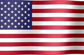 Image result for American Flag Symbol