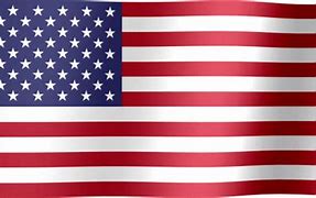 Image result for American Flag Portrait