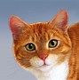 Image result for orange and white cats caring