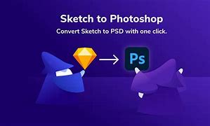 Image result for Adobe Photoshop Sketch