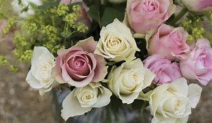Image result for Pink and White Roses HD Background