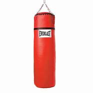 Image result for Boxing Punch Bag