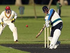 Image result for Cricket Playing Basketball