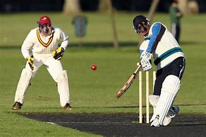 Image result for Playing Cricket with Hearts