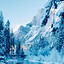 Image result for Winter-Themed Phone Wallpaper