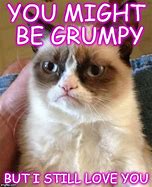 Image result for Grumpy Cat Love You Meme