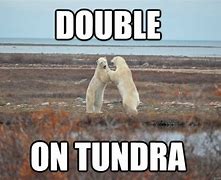 Image result for Tundrolla Meme