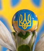Image result for Ukraine National Emblem