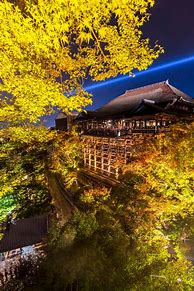 Image result for Kyoto City at Night