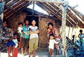 Image result for aeta