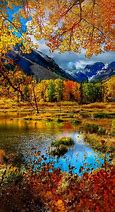Image result for Fall 4 Phone