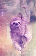 Image result for Dual Monitor Sloth Wallpaper