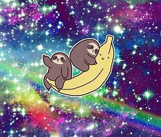 Image result for Sloth On Space Needle
