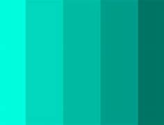 Image result for Aqua Green Color