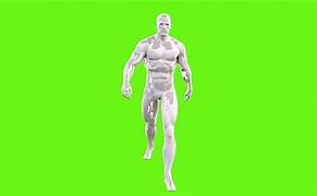 Image result for Human Green screen