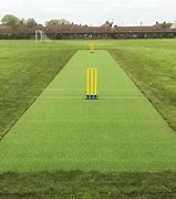 Image result for Artificial Cricket Wicket