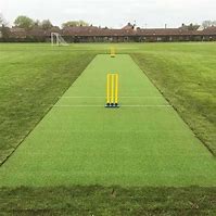Image result for Cricket Pitch Wicket