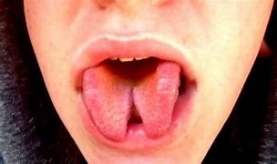 Image result for split tongue