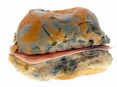 Image result for Rotten Meat