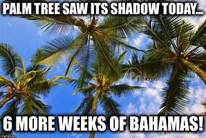 Image result for Bahamian Meme