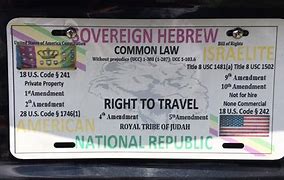 Image result for Sovereign Citizen Signature