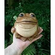 Image result for Giant Toad Frog Figurine