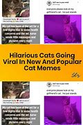 Image result for Thank You Kitten Meme