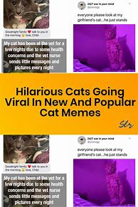 Image result for Pepperoni Pizza Cat Meme
