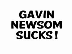 Image result for Recall Gavin Newsom Book