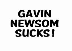 Image result for Gavin Newsom at White House