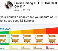 Image result for OH Lawd He Coming Cat Chart