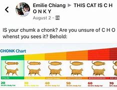 Image result for Big Chonk Meme