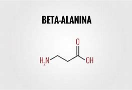Image result for alanina