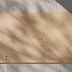 Image result for Rustic Oak Wood Texture