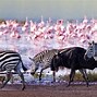 Image result for Nice Places in Kenya