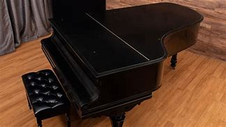 Image result for Grand Piano Case