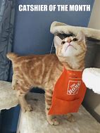 Image result for Awesome Job Cat Meme