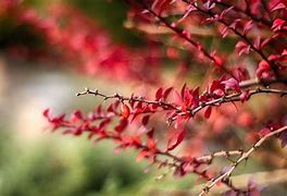 Image result for February Outdoor Wallpaper