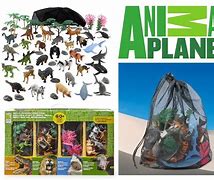 Image result for Animal Planet CD-ROM