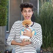 Image result for Jiff the Pomeranian Dog