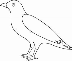 Image result for Crow Outline Drawing