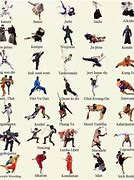 Image result for List of Martial Arts Styles Systema