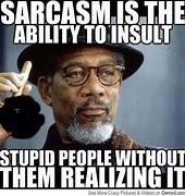 Image result for Funny Memes About Sarcasm