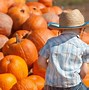 Image result for Arizona Pumpkin Patch