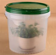 Image result for Clear Plastic 5 Gallon Container
