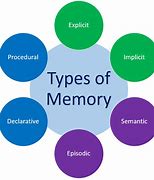 Image result for The Human Memory Long-Term Memory Images