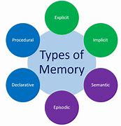 Image result for 7 Types of Memory
