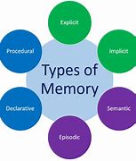 Image result for Types of Non Declarative Memory