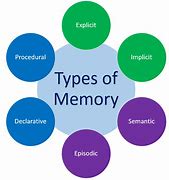 Image result for Memory Types Brain