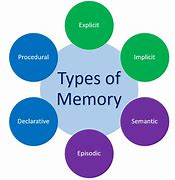 Image result for What Is an Example of Short-Term Memory
